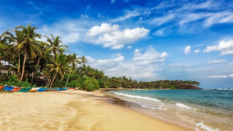 Voici les choses à faire lors d’un voyage mémorable au Sri Lanka