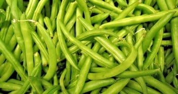Comment congeler les haricots verts ?